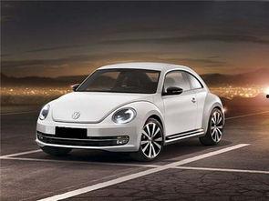 沈旭爆料甲壳虫视频大全,甲壳虫视频大全背后的精彩瞬间 第3张 沈旭爆料甲壳虫视频大全,甲壳虫视频大全背后的精彩瞬间 第3张